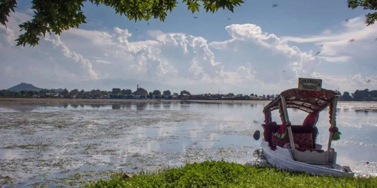 Kashmir Valley Explorer