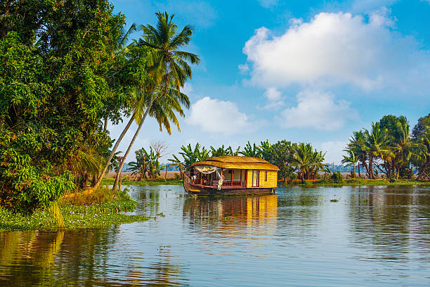 Kerala Backwaters & Hills Getaway